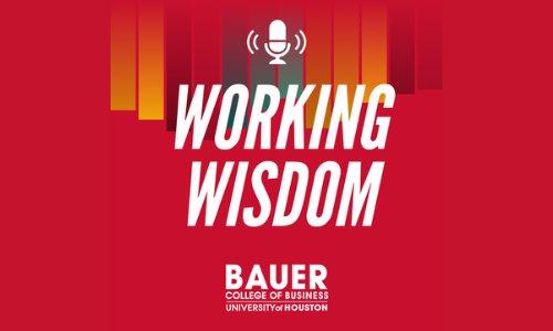 Working Wisdom Bauer