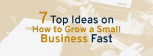 7 Top Ideas on How to Grow a Small Business Fast